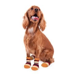 Karlie Köpek Ayakkabısı Large 2 Adet