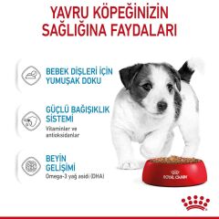 Royal Canin Mini Puppy Küçük Irk Yavru Köpek Konservesi 85 gr