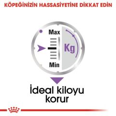 Royal Canin CCN Sterilised Pouch Kısırlaştırılmış Yetişkin Köpek Konservesi 85 gr