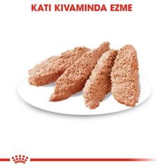 Royal Canin CCN Dermacomfort Pouch Deri Hassasiyetli Yetişkin Köpek Konservesi 85 gr