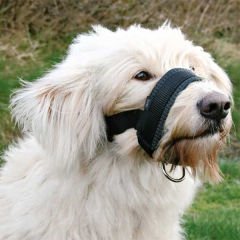 Trixie Danua Köpek Ağızlık Xlarge Siyah