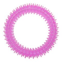 Eastland Plastik Simit Şeklinde Köpek Diş Kaşıma Oyuncağı 12 Cm
