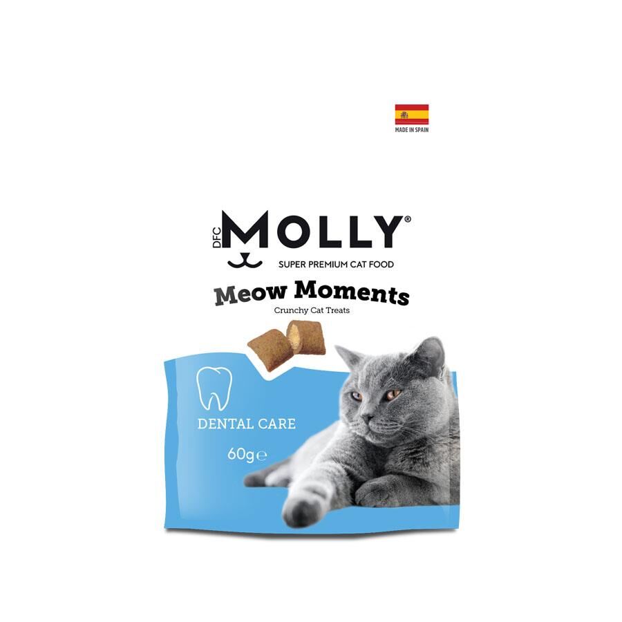 Molly Meow Moments Ağız ve Diş Sağlığı Kedi Ödül Maması 60 Gr