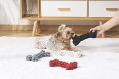 M-Pets Örgü Kemik Şeklinde Peluş Kedi ve Köpek Oyuncağı 19 Cm Siyah