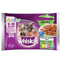 Whiskas Pouch Yavru Junior Güveç Konserve Kedi Maması 4x85 Gr