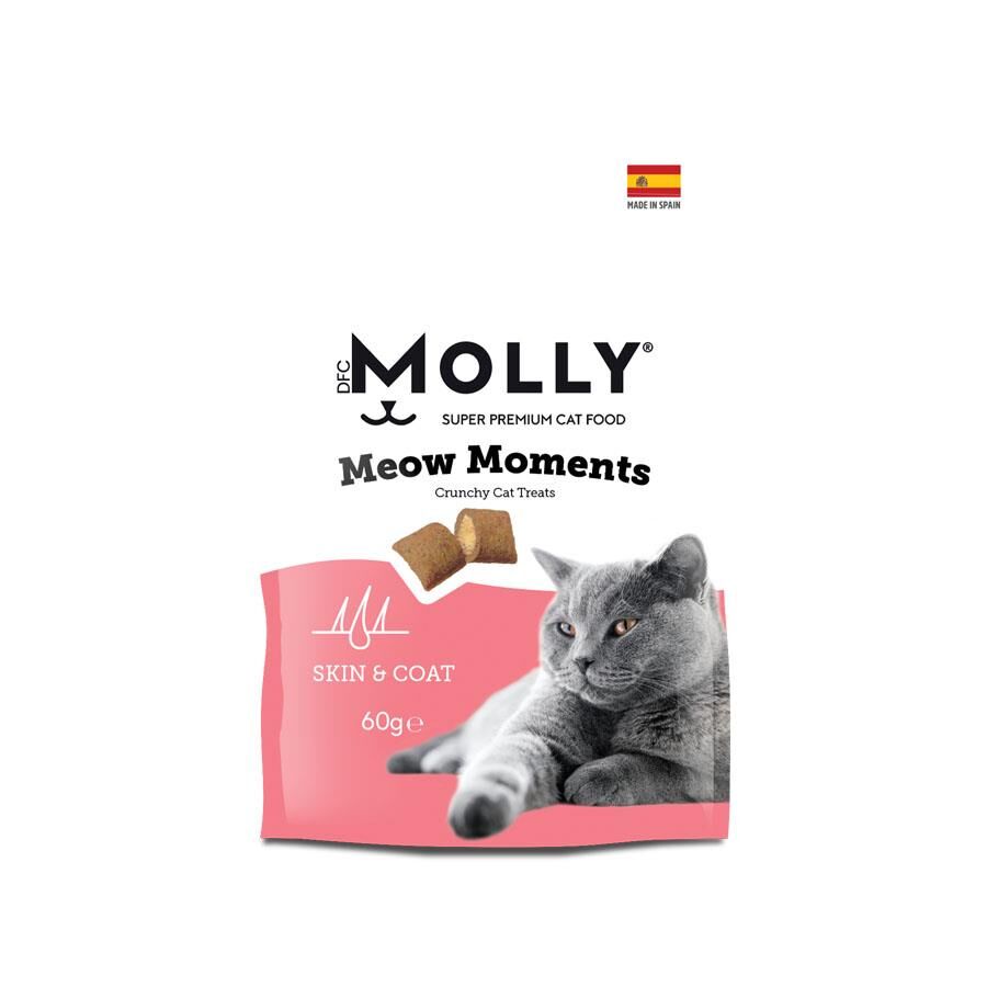 Molly Meow Moments Deri ve Tüy Bakımı Kedi Ödül Maması 60 Gr