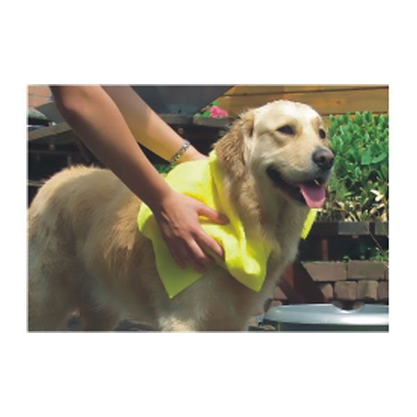 Pawise Towel Köpek Havlusu 40x50 Cm