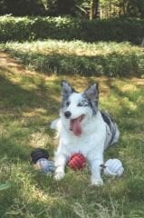 M-Pets Örgü Top Kedi ve Köpek Oyuncağı 9.5 Cm Beyaz