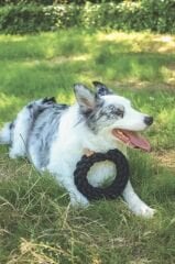 M-Pets Coto Örgü Halka Köpek Oyuncağı 18 Cm Siyah