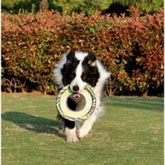 M-Pets Sprintpuff Frizbi Köpek Oyuncağı 24 Cm Mor/Yeşil