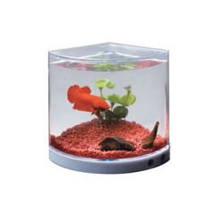 Dophin Dönen Renkli Işıklı Beta Akvaryumu