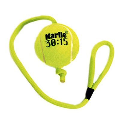 Flamingo İpli Tenis Topu Köpek Oyuncağı 6 cm