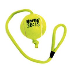 Flamingo İpli Tenis Topu Köpek Oyuncağı 6 cm