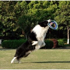 M-Pets Sprintpuff Frizbi Köpek Oyuncağı 24 Cm Mavi/Yeşil