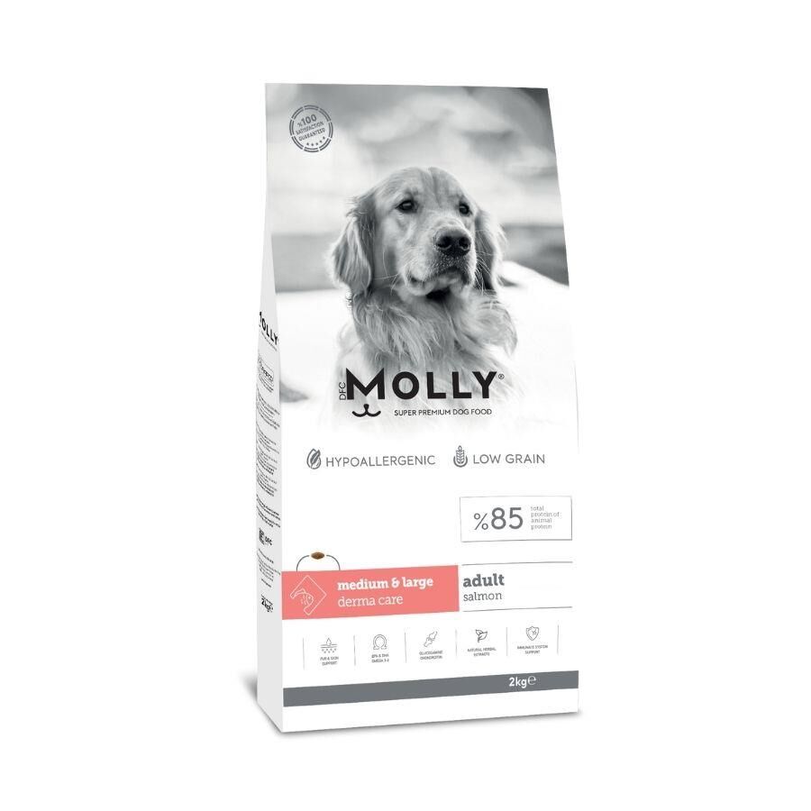 Molly Düşük Tahıllı Hypoallergenic Somonlu Orta ve Büyük Irk Yetişkin Köpek Maması 2 Kg
