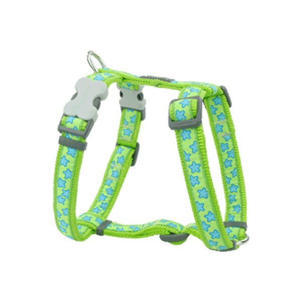 Red Dingo Stars Hot Lime Turkuaz Yıldızlı Köpek Göğüs Tasması 20 Mm
