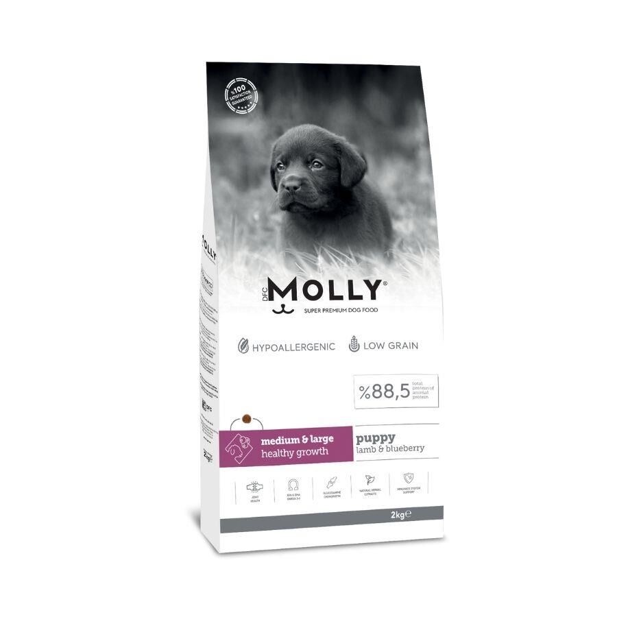 Molly Düşük Tahıllı Hypoallergenic Kuzulu ve Yaban Mersinli Orta ve Büyük Irk Yavru Köpek Maması 2 Kg