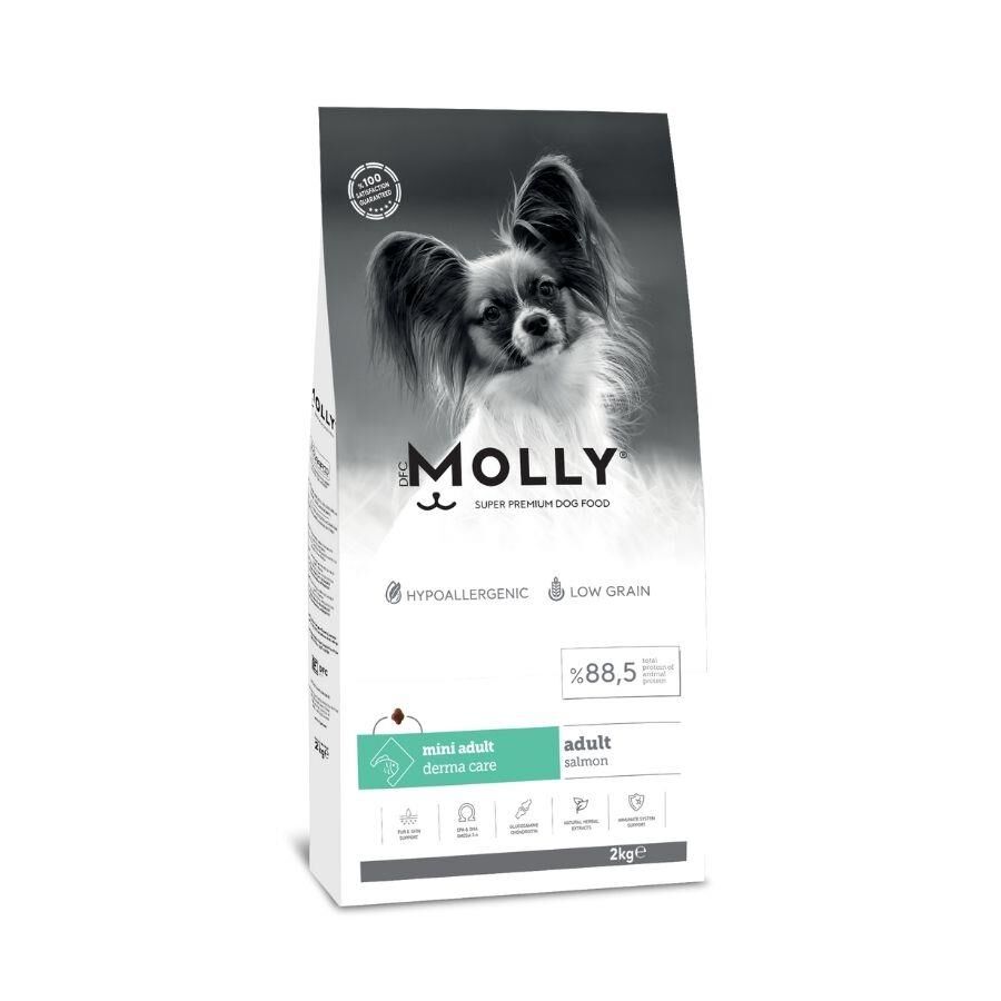 Molly Düşük Tahıllı Hypoallergenic Somonlu Küçük Irk Yetişkin Köpek Maması 2 Kg