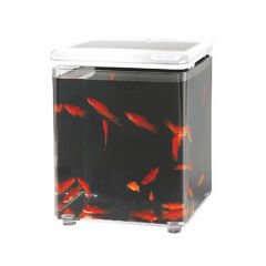 Aquasyncro Fish Home Filtreli ve Işıklı Beyaz Nano Akvaryum 20x20x26h Cm