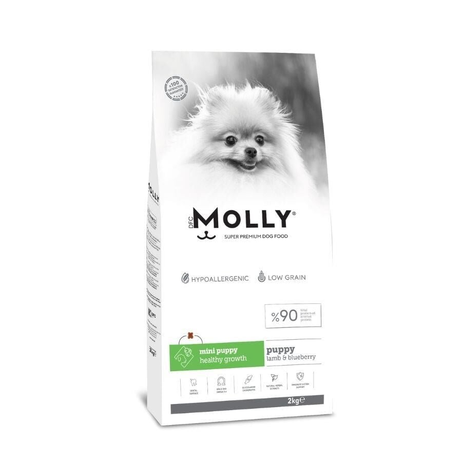 Molly Düşük Tahıllı Hypoallergenic Kuzulu ve Yaban Mersinli Küçük Irk Yavru Köpek Maması 2 Kg