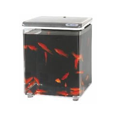 Aquasyncro Fish Home Filtreli ve Işıklı Nano Akvaryum Gümüş 20x20x26 Cm