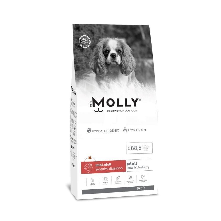 Molly Düşük Tahıllı Hypoallergenic Kuzulu ve Yaban Mersinli Küçük Irk Yetişkin Köpek Maması 8 Kg