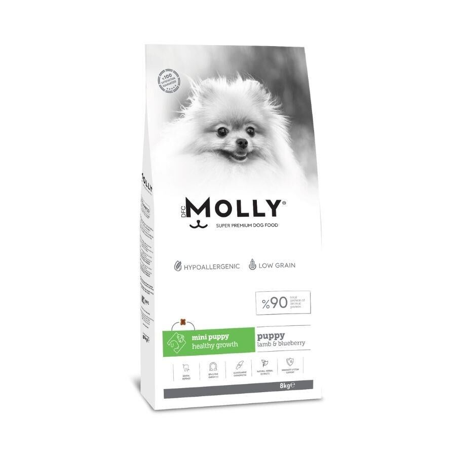 Molly Düşük Tahıllı Hypoallergenic Kuzulu ve Yaban Mersinli Küçük Irk Yavru Köpek Maması 8 Kg