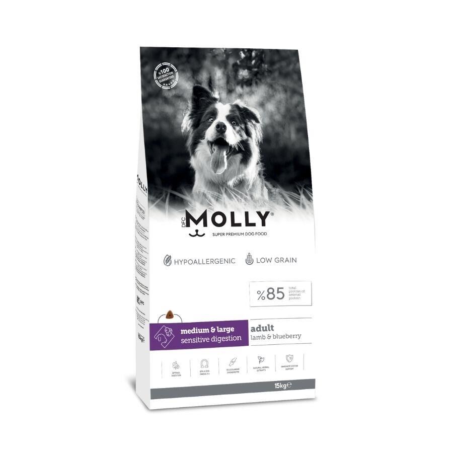Molly Düşük Tahıllı Hypoallergenic Kuzulu ve Yaban Mersinli Orta ve Büyük Irk Yetişkin Köpek Maması 15 Kg
