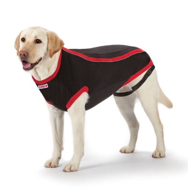 Kong Anksiyete Kaygı Giderici Köpek Elbisesi Large