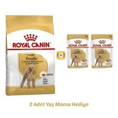 Royal Canin Poodle Adult Yetişkin Köpek Maması 3 Kg+2 Konserve Hediyeli