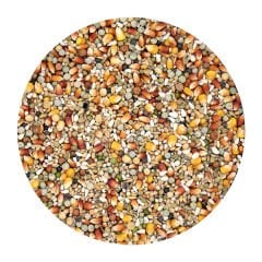 Versele Laga Champion +IC Güvercin Yemi 22 Kg