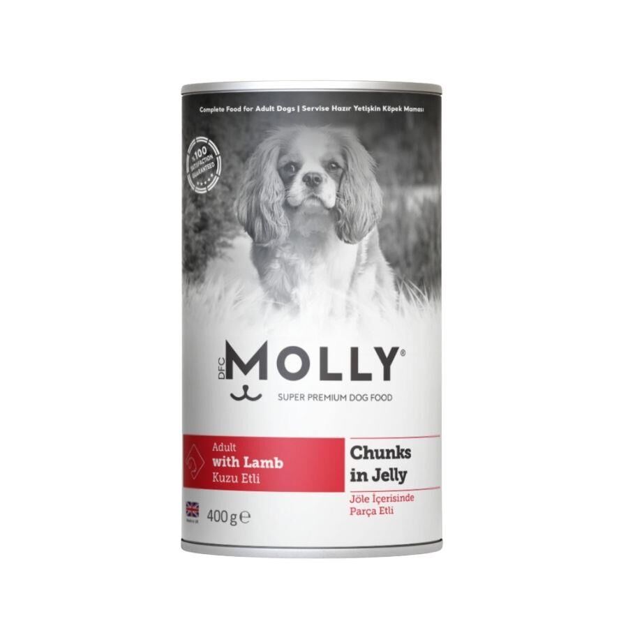 Molly Jöle İçinde Parça Kuzu Etli Yetişkin Köpek Konservesi 400 Gr