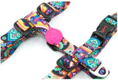 Tailpetz Paisley Desenli Köpek Boyun Tasması Xsmall 19-33x22-37 Cm