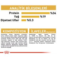 Royal Canin British Shorthair Adult Yetişkin Kedi Maması 10 Kg