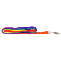 Eastland Şerit Gökkuşağı Köpek Gezdirme Tasması 1 Cm 120 Cm