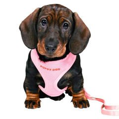 Trixie Köpek Yavru Göğüs Tasması ve Kayışı Pembe 23x34 Cm