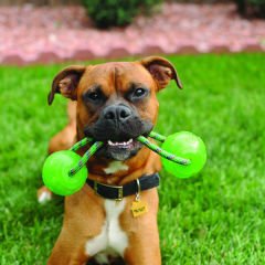 Kong Tutamaçlı Sesli Top Köpek Oyuncağı Large 32 Cm