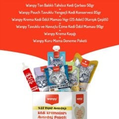 Wanpy Karışık Lezzetler Avantaj Paketi Sıvı Kedi Ödül Maması Karışık 5 Adet