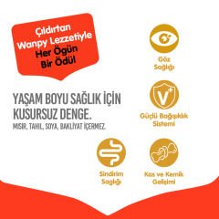 Wanpy Tavuklu Tahılsız Yetişkin Kedi Maması 1.5 Kg