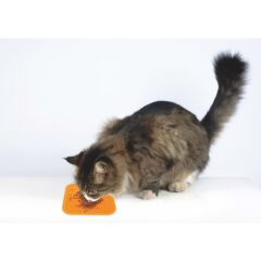 M-Pets Lecca Yavaş Beslenme Sıvı Ödül Matı Turuncu L