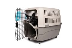 M-Pets Transit Carrier Iata Tekerlekli Kedi ve Köpek Taşıma Çantası 92.5x66x61.1 Cm Kahverengi Large