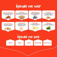 Wanpy Sığır Etli Tahılsız Yetişkin Köpek Maması 1.5 Kg