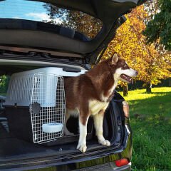 Ferplast Atlas 60 Orta ve Büyük Irk Köpek Taşıma Çantası Gri 61x91x68 Cm