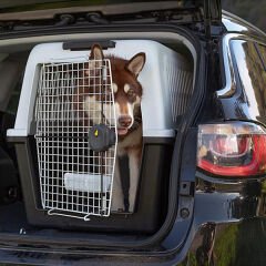 Ferplast Atlas 60 Orta ve Büyük Irk Köpek Taşıma Çantası Gri 61x91x68 Cm