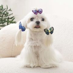 M-Pets Glam Kelebekli Kedi ve Köpekler İçin Aksesuar Toka Mavi Mor ve Yeşil