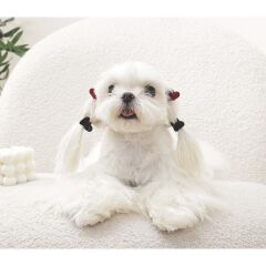 M-Pets Glam Kalpli Kedi ve Köpekler İçin Aksesuar Toka Kırmızı Siyah