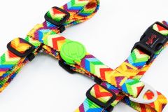 Tailpetz Rainbow Desenli Köpek Göğüs Tasması Xsmall 19-33x22-37 Cm