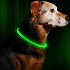 Red Dingo Lumitube Yeşil Işıklı Köpek Boyun Tasması 80 Cm