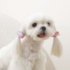 M-Pets Glam Figürlü Kedi ve Köpekler İçin Aksesuar Toka Pembe