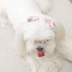 M-Pets Glam Figürlü Kedi ve Köpekler İçin Aksesuar Toka Pembe